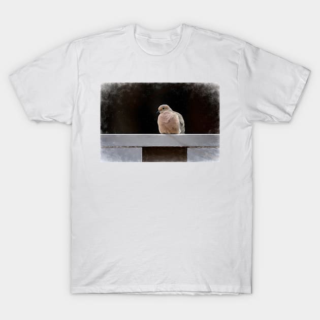 Resting Mourning Dove by Debra Martz T-Shirt by Debra Martz